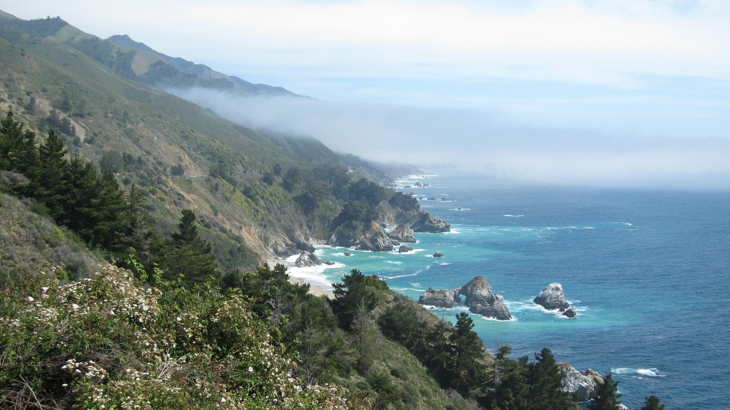Fog over the coastal cliffs at Dillon Beach in winter