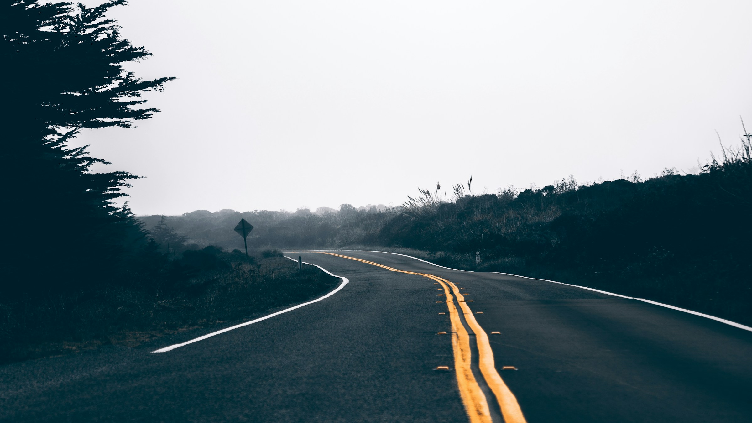 A quiet coastal road leading to Dillon Beach, California
